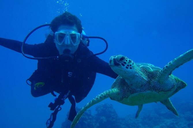 Discover Scuba Diving & Beach Club with Transportation In Riviera Maya - Shallow-water practice before the reef
