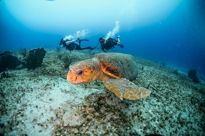 Discover Scuba Diving & Beach Club with Transportation In Riviera Maya - The Mexican Caribbean underwater session