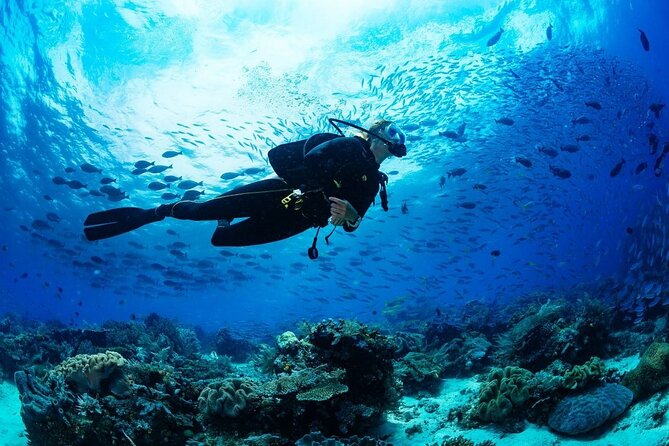 Discover Scuba Diving & Beach Club with Transportation In Riviera Maya - Who should book this Playa del Carmen activity