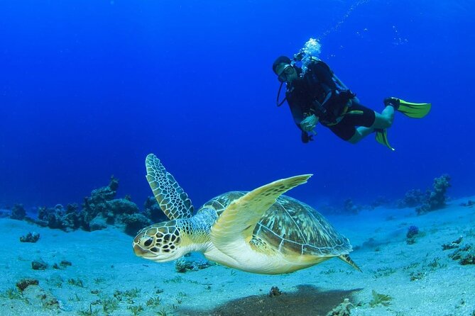 Discover Scuba Diving & Beach Club with Transportation In Riviera Maya - Arriving at Maroma Beach near Playa del Carmen