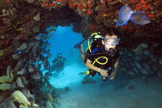 Discover Scuba Diving Course in Playa del Carmen with Two Coral Reef Dives - Why the small group of eight matters