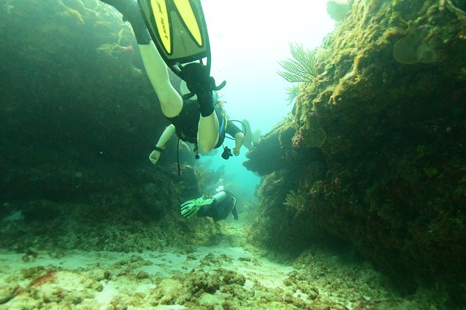 Discover Scuba Diving in Tulum - Stop two: practicing basic skills in the water