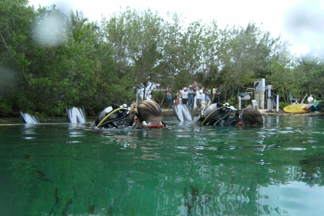 Discover Scuba Diving in Tulum - The 30 to 40 minute underwater experience