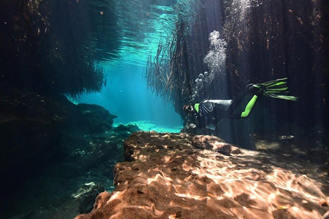 Discover Scuba Diving in Tulum - Who should book this and who should think twice