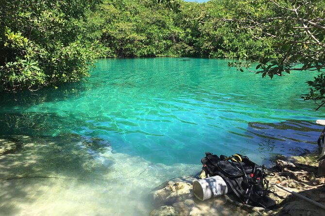 Discovering Breathtaking Cenotes in Tulum - Why a small group changes the day