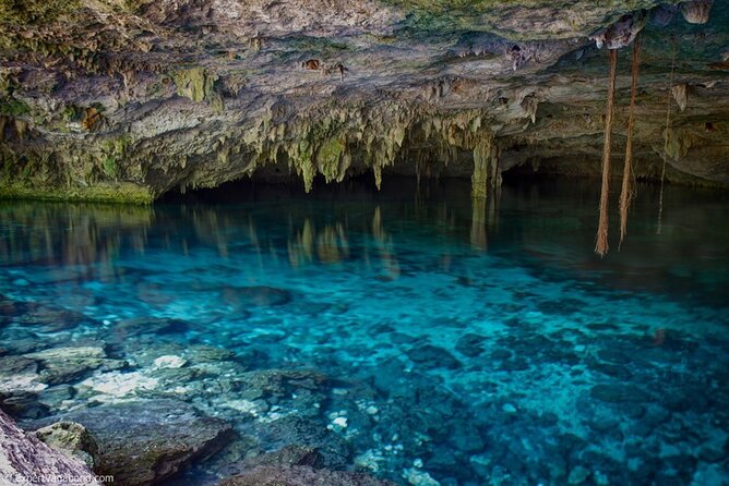 Discovering Breathtaking Cenotes in Tulum - Transport, food, and the four-and-a-half-hour schedule