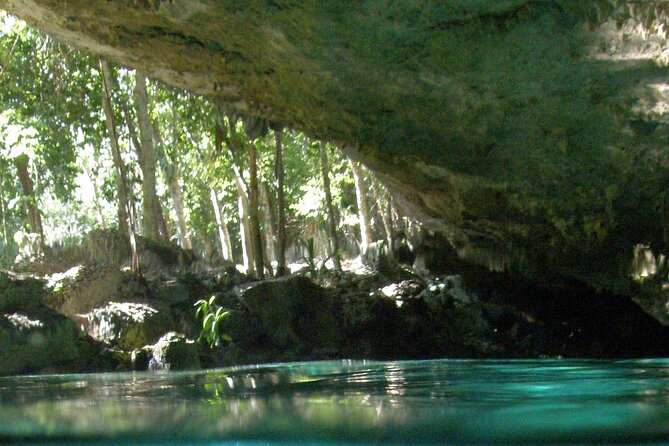 Discovering Breathtaking Cenotes in Tulum - Afternoon timing can improve the atmosphere