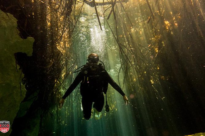 Discovery Scuba Diving - A gentle first step into scuba