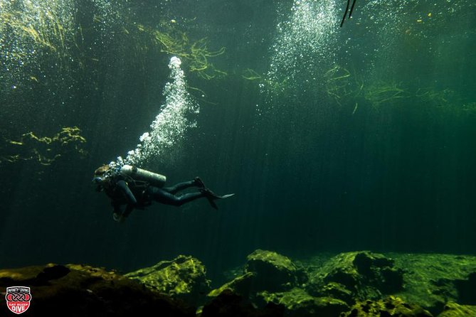 Discovery Scuba Diving - From classroom to pool to open water