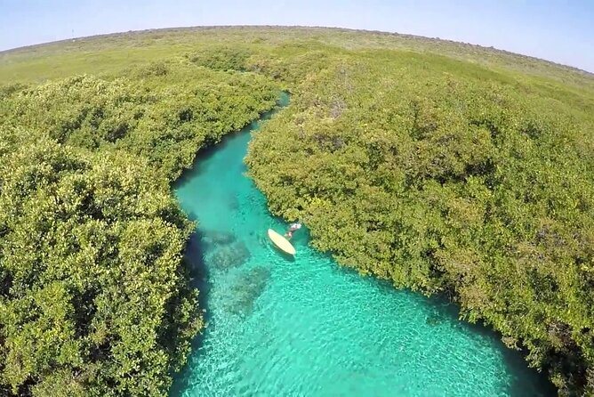 Discovery Scuba Diving - Who should book this Tulum experience