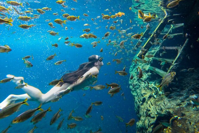Dive into Tulum: Tour 3 Cenotes, from Riviera Maya - Booking advice for a smoother day