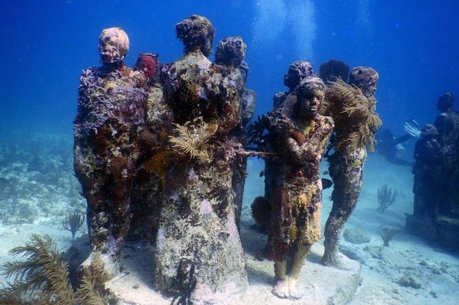 Diving in Cancun Underwater Museum of Art - Who should book this experience?