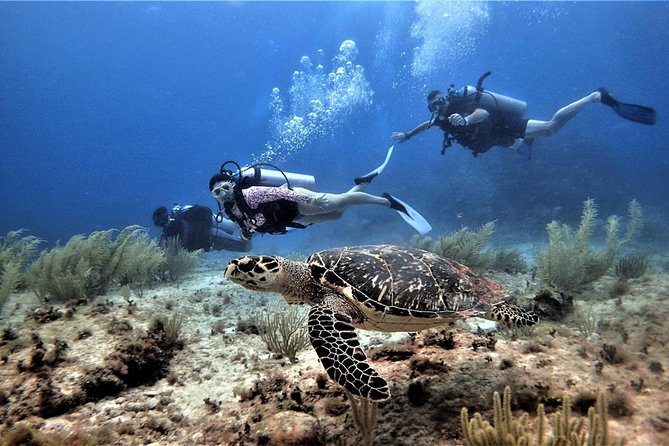 Diving in Cancun Underwater Museum of Art - Preparing for the water and equipment