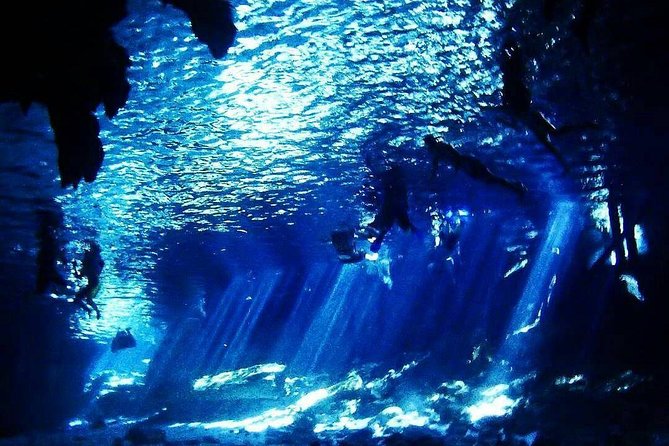 Dos Ojos Cenote Cavern Dive- The Barbie Line and The Bat Cave - Why the equipment and snacks matter