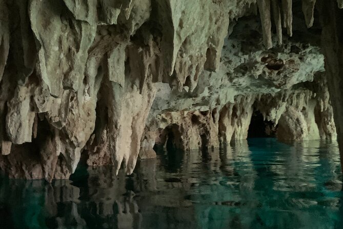 Dos Ojos Cenote VIP Private Tour – Snorkeling & Mayan Lunch - The bat cave is the tour’s highlight