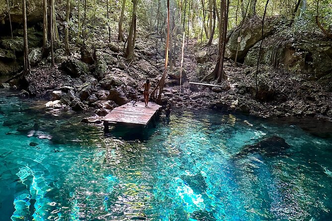 E-bike cenote jungle city tour in Playa del Carmen - From Mercadito Playa to the jungle