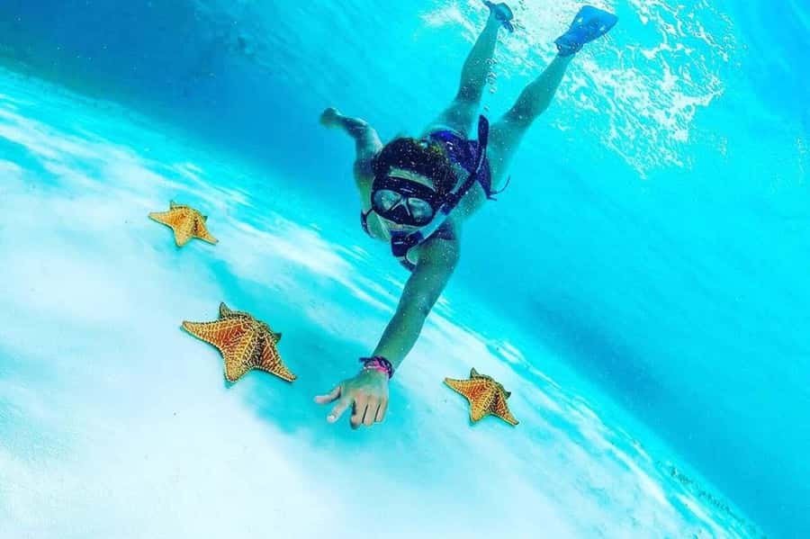 El Cielo and El Cielito in Cozumel with Beach Club, Food, and Open Bar - Why El Cielo Is the Main Event