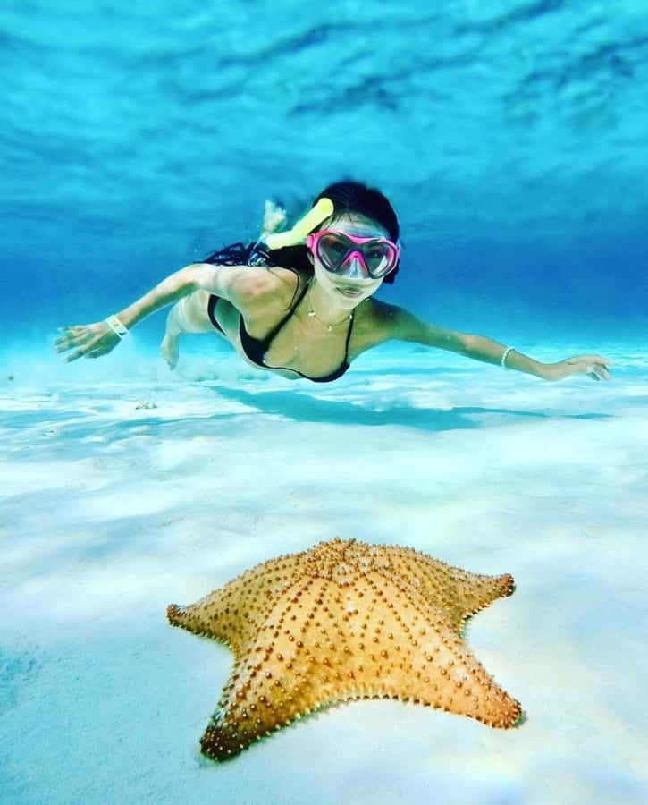 El Cielo and El Cielito in Cozumel with Beach Club, Food, and Open Bar - Palancar Reef for a Short Snorkel