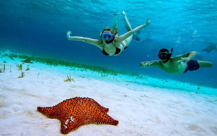 El Cielo and El Cielito in Cozumel with Beach Club, Food, and Open Bar - What the $180 Price Really Covers