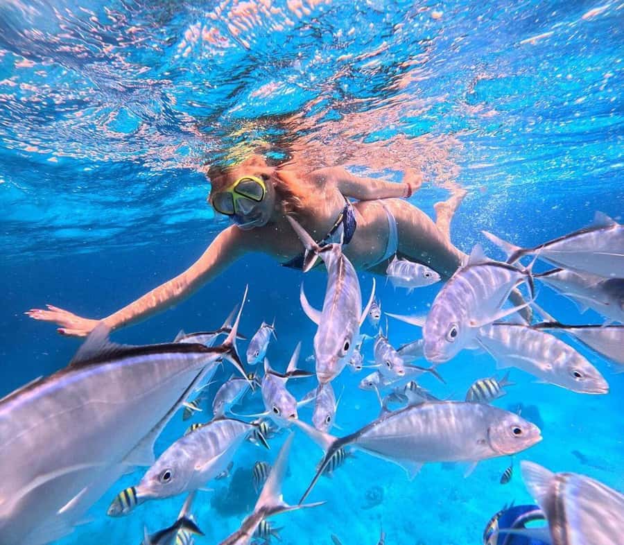 El Cielo and El Cielito in Cozumel with Beach Club, Food, and Open Bar - Should You Book El Cielo and El Cielito?