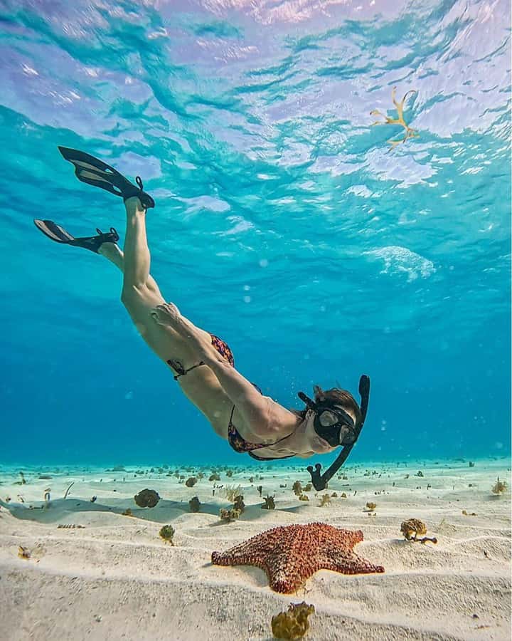El Cielo and El Cielito in Cozumel with Beach Club, Food, and Open Bar - El Cielito Gives You More Time to Float