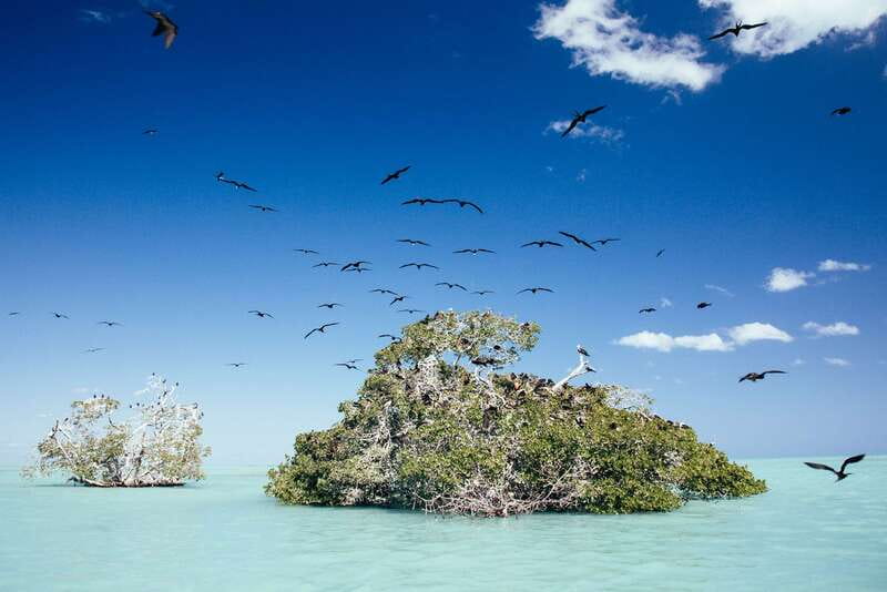 Exclusive Full Day Nature Expedition in Sian Ka'an - Mangrove channels and Maya trade routes