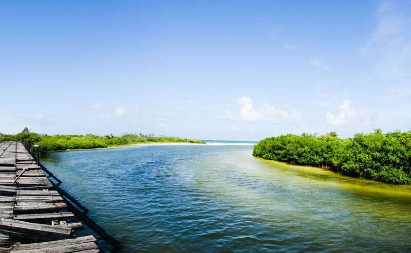 Exclusive Full Day Nature Expedition in Sian Ka'an - Punta Allen, a fishing village with a local lunch