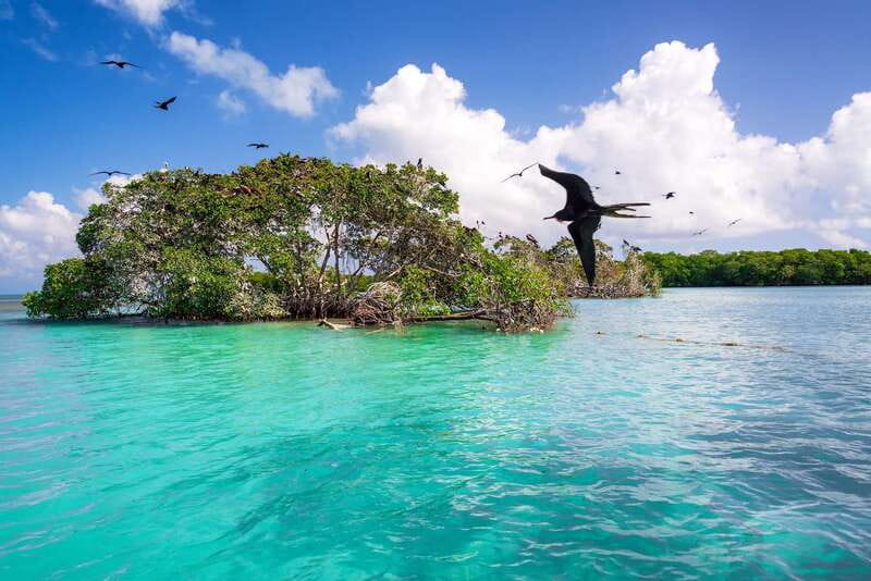 Exclusive Full Day Nature Expedition in Sian Ka'an - What the guide and group experience mean