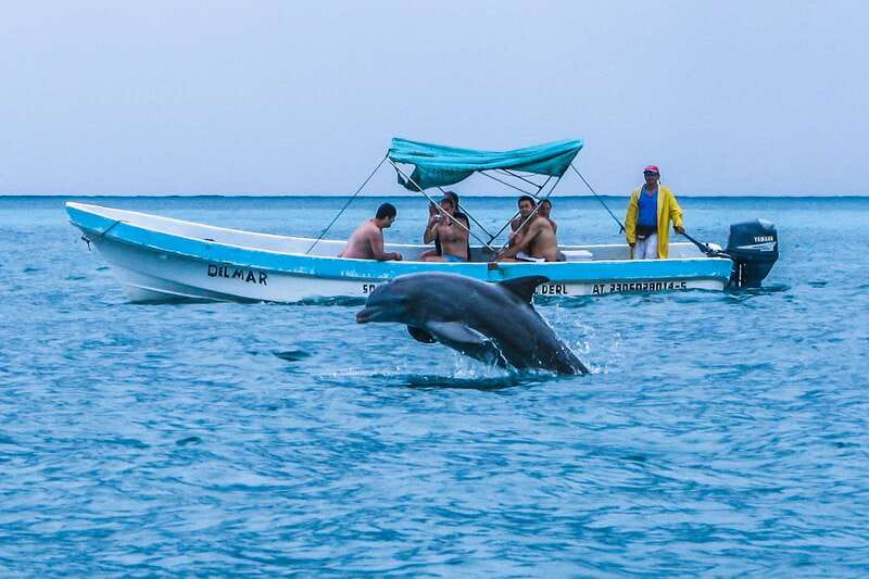 Exclusive Full Day Nature Expedition in Sian Ka'an - Should you book the Sian Ka’an expedition?
