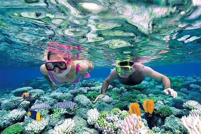 Exclusive Sailing Isla Mujeres. Top tour! - What the $158 price includes, and what it may not