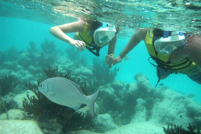 Exotik half a day tour: Cenote Cave and Swimming with Sea Turtles - What to pack for the cave and the bay