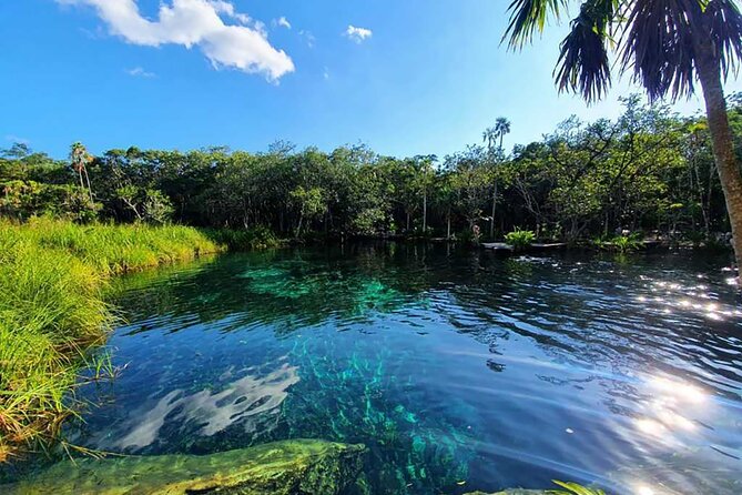 Explore Tulum Tour to Cenote and Ruins - The strongest part of the service: simple communication