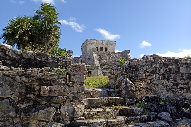 Explore Tulum Tour to Cenote and Ruins - Casa Tortuga’s four cenotes: cool water and stone formations