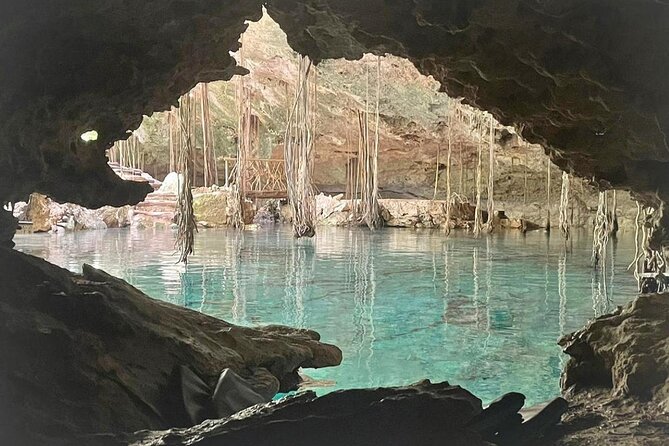 Five Cenotes Jungle Experience in the Riviera Maya - What swimming at five cenotes is like