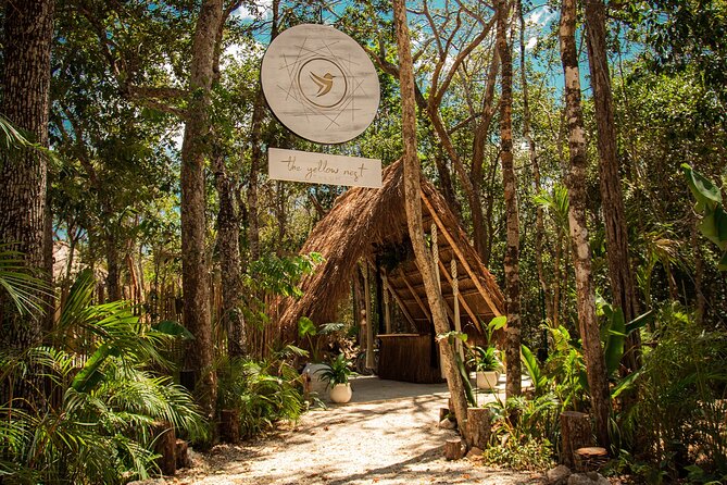 Floating breakfast in The Yellow Nest (near Dos Ojos cenote) - Breakfast in a jungle pool near Dos Ojos