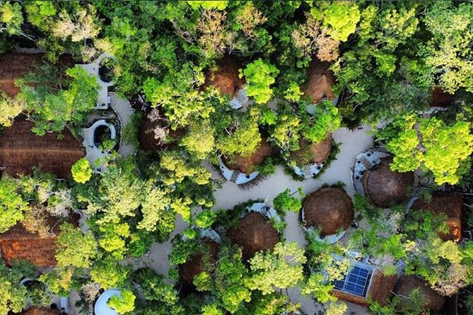 Floating breakfast in The Yellow Nest (near Dos Ojos cenote) - Photos, service, and the human side of the visit