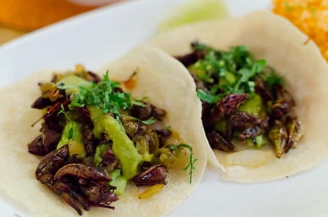 Food Hoppers 2.5-Hour Tour in Playa del Carmen - The first tastings: small stops, local flavors
