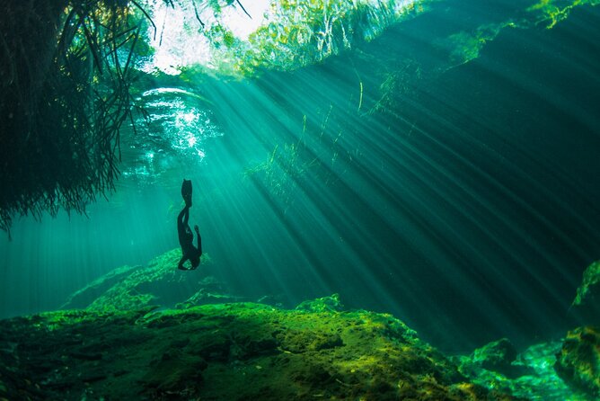 Freediving Intro for Beginners in a Cenote in Tulum Mexico - Mangroves, clear water, and controlled exploration