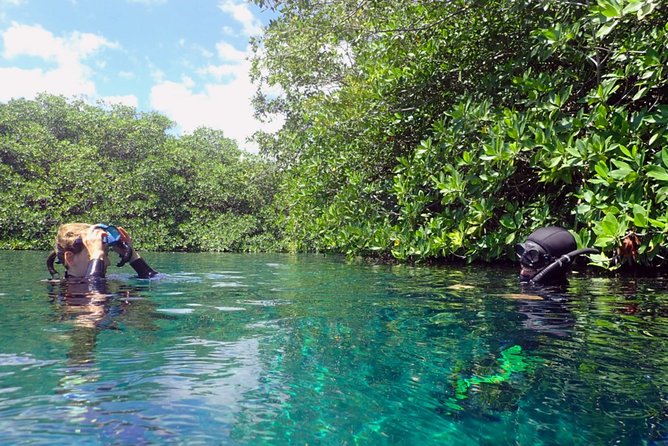 Freediving Intro for Beginners in a Cenote in Tulum Mexico - Who will get the most from this experience