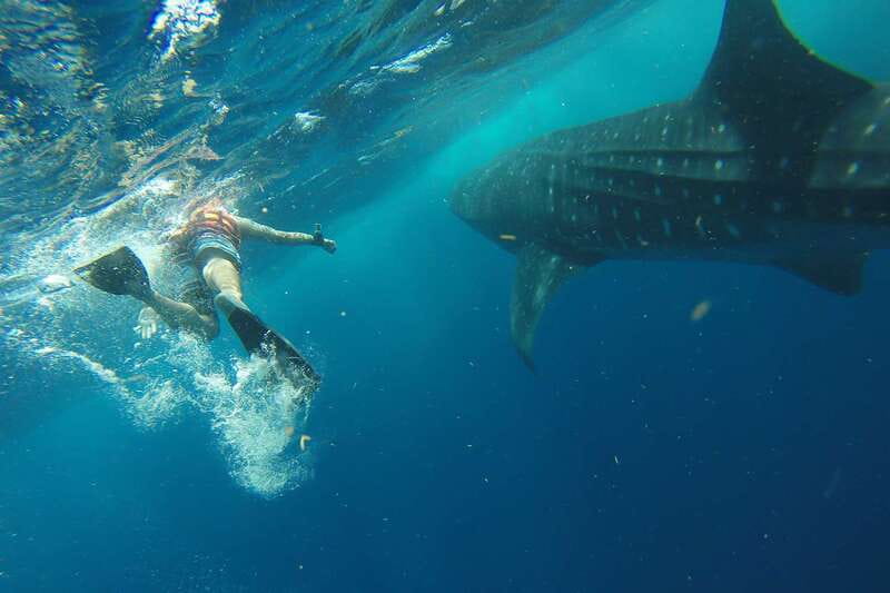 From Playa del Carmen: Whale Shark Tour - The speedboat crossing sets the tone