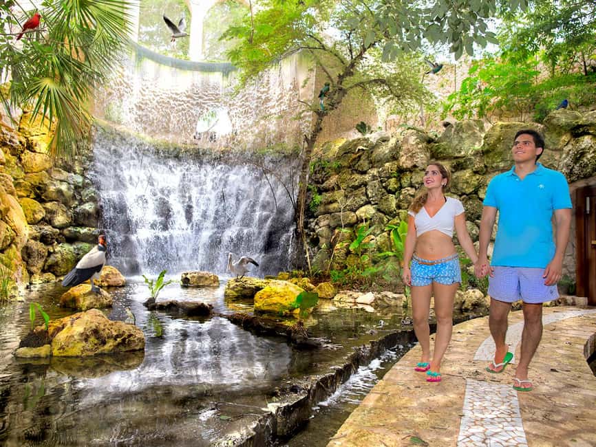 From Playa del Carmen: Xcaret Park All-Inclusive - Beaches, natural pools, and Children’s World