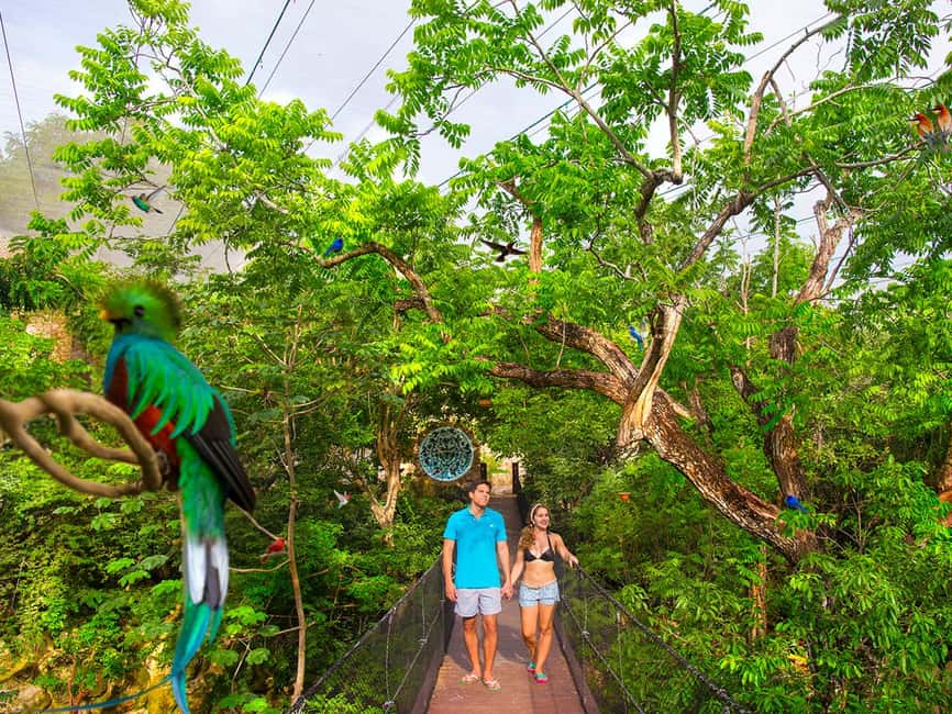From Playa del Carmen: Xcaret Park All-Inclusive - Cultural performances worth timing your day around