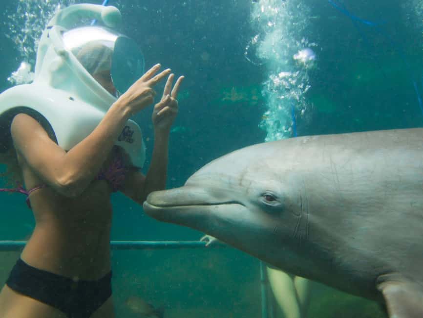 From Playa del Carmen: Xel-Há All-Inclusive Park - Cenotes, caves, grottoes, and jungle paths