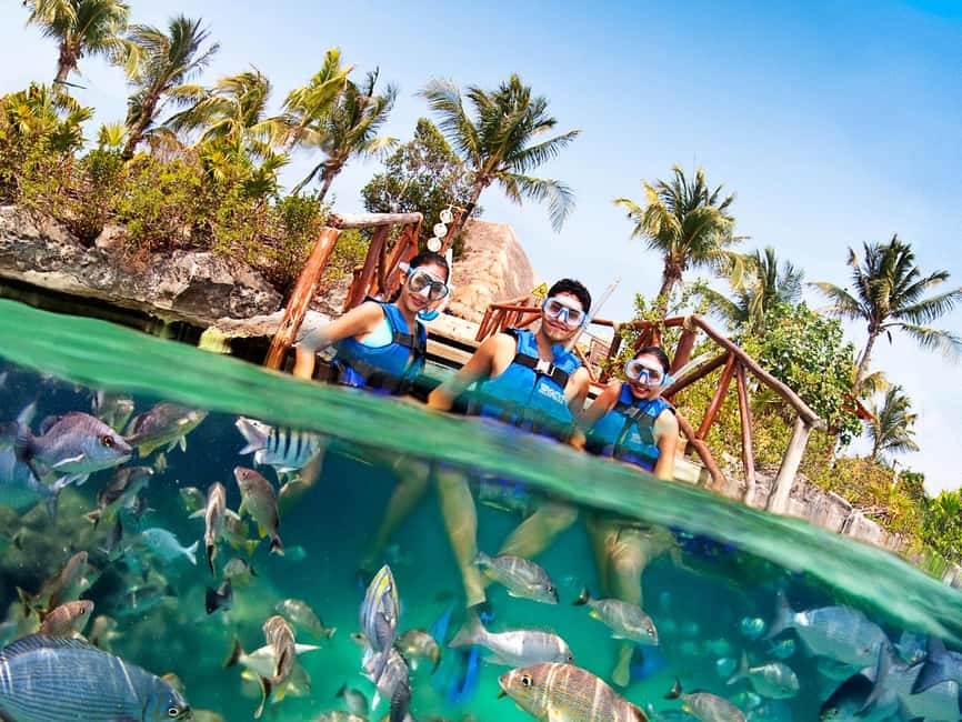 From Playa del Carmen: Xel-Há All-Inclusive Park - Who will enjoy Xel-Há most