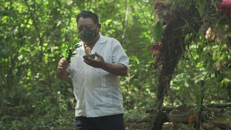 From Riviera Maya: Coba, Punta Laguna & Cenote Guided Trip - Cooling off at Cenote Esmeralda