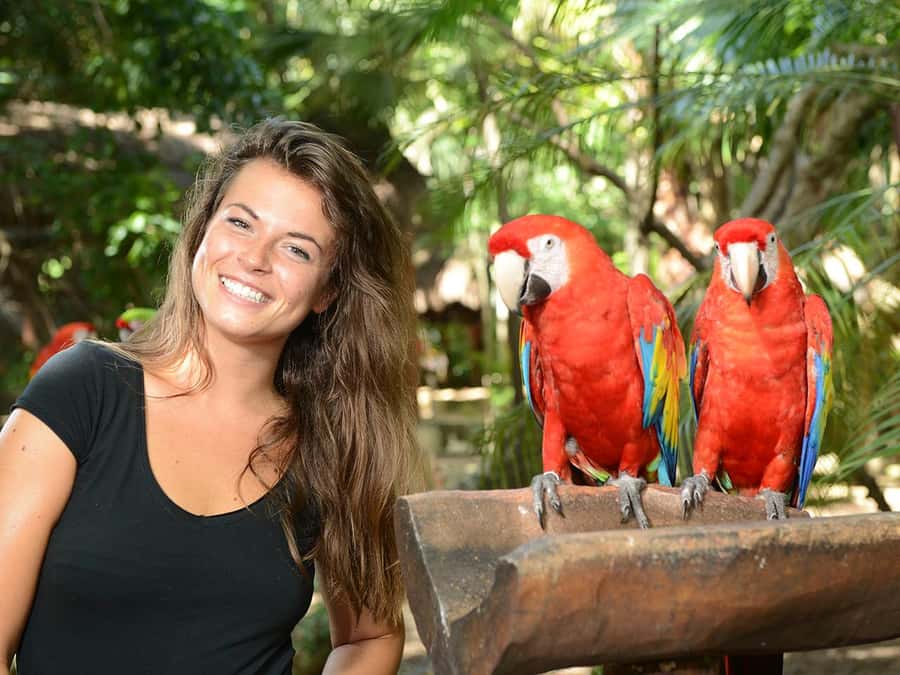 From Riviera Maya: Complete Combo to Xcaret Park! - A full day built around nature and Mexican culture