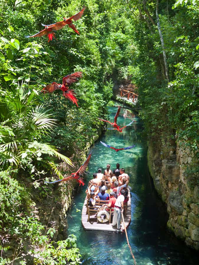From Riviera Maya: Complete Combo to Xcaret Park! - Choosing the right ticket