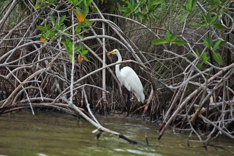 From Riviera Maya: Sian Ka'an Half Day Tour w/ Lunch - Key points to know before booking