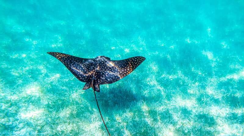 From Riviera Maya: Sian Ka'an Half Day Tour w/ Lunch - Who will enjoy this half-day outing?