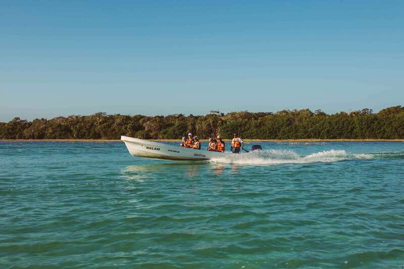 From Riviera Maya: Sian Ka'an Half Day Tour w/ Lunch - Wildlife viewing can be rewarding, but not constant